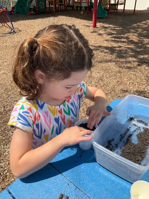 Young girl at Trinity Episcopal Preschool engaging in outdoor sensory play with soil and a plastic container, fostering early childhood development and hands-on learning.